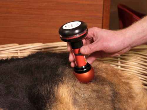 Energy-Laser L2000 Pro Lasertherapie gerät