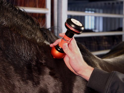 Energy-Laser L2000 Pro Lasertherapie gerät