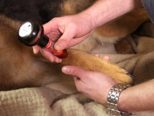 Energy-Laser L500 Pro Lasertherapie gerät