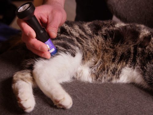 Personal Laser L400 Lasertherapie gerät