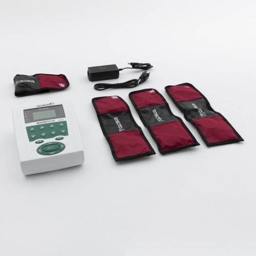 MagnetoVet 4000 veterinärmedizinisches magnettherapie Gerät