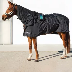 MagnetoVet 4000 Horse