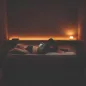 Magnum Insomnia