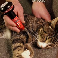 Tierärztlicher Laser