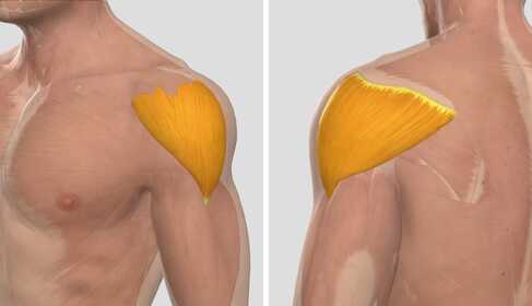 Frozen-Shoulder-Syndrom: Behandlung zu Hause