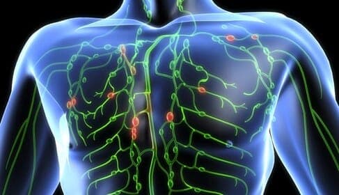Lymphknotenschwellung: von den Symptomen bis zur Heilung
