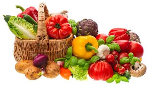 Hoher Cholesterinspiegel – oxidiertes LDL, Lebensstil und Statine